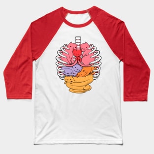 Anatomicat Baseball T-Shirt